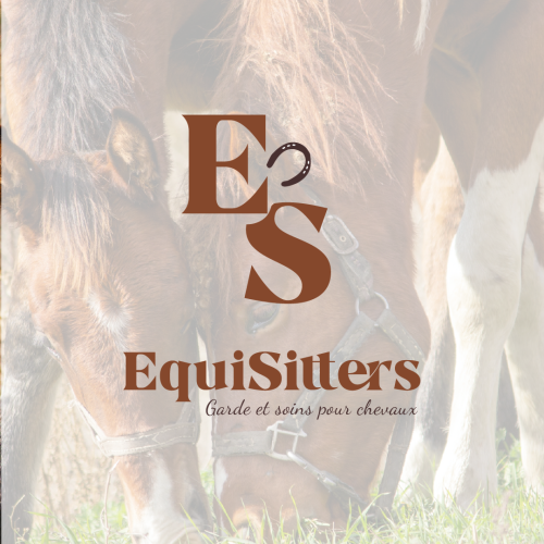 Equisitters