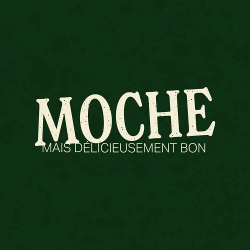 MOCHE_logo