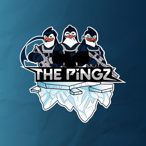 The Pingz - Project 0