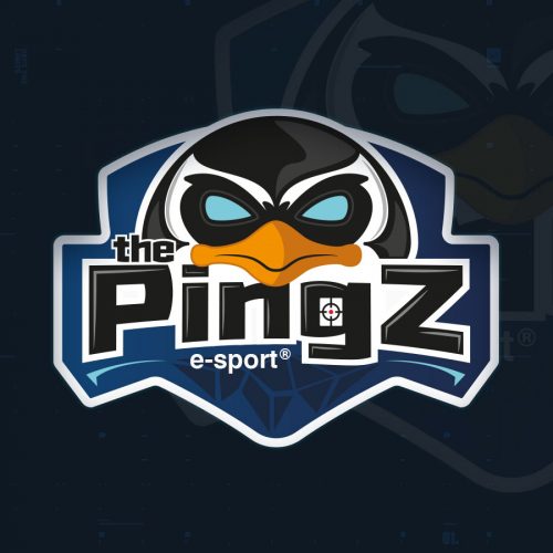 thepingz-logo-9625fe74